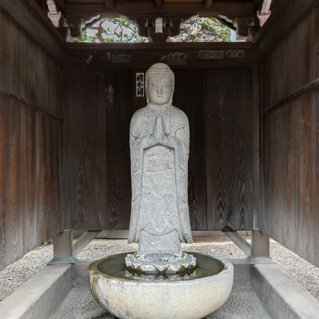 浄行菩薩