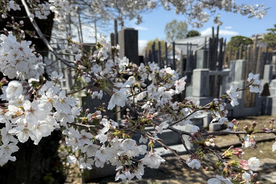 永代供養墓のご案内