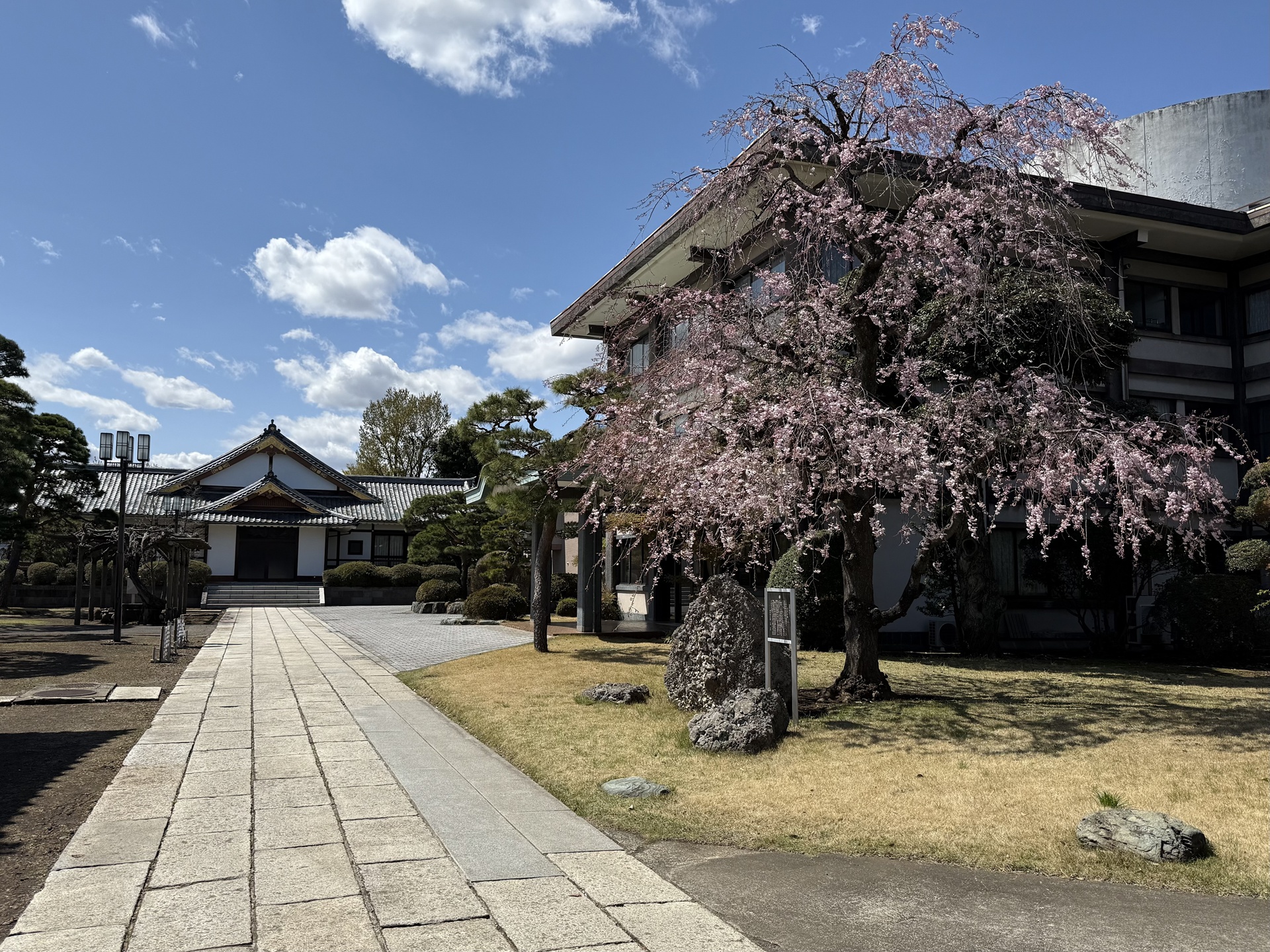 日蓮宗 妙祐山 幸龍寺 正面